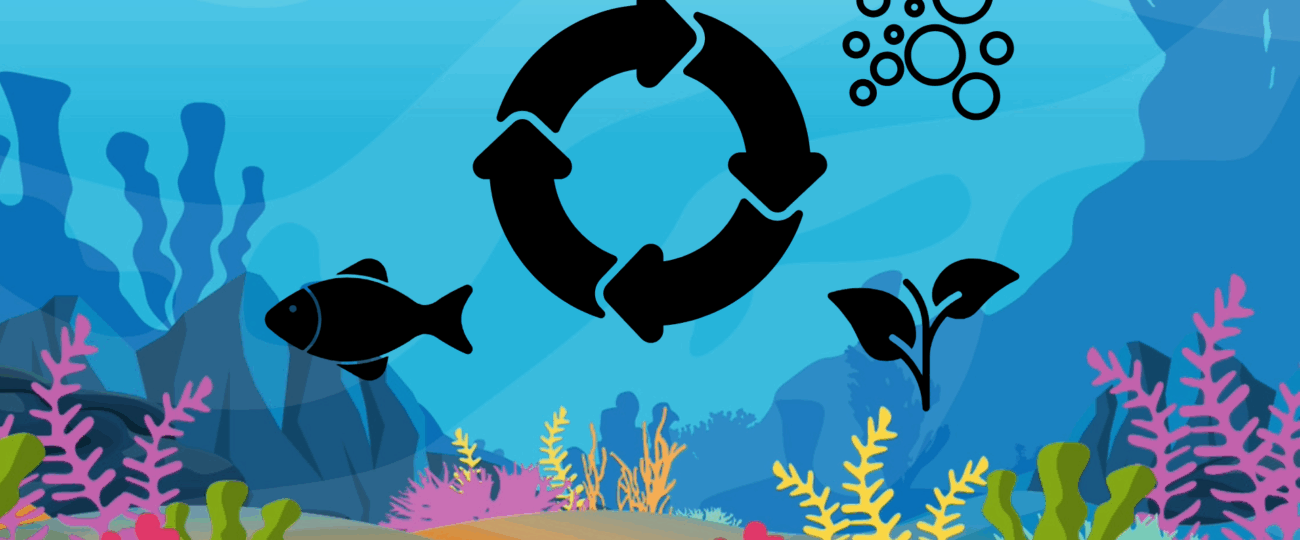 Cycling Your Aquarium