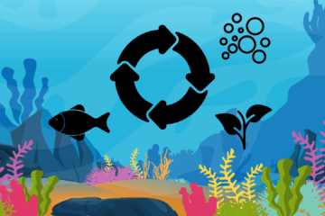 Cycling Your Aquarium