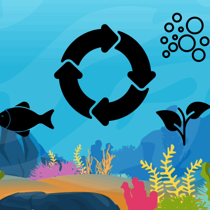 Cycling Your Aquarium