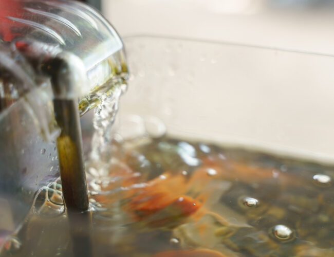 Aquarium Toolkit