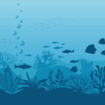 Conserving Our Oceans & Marine Species