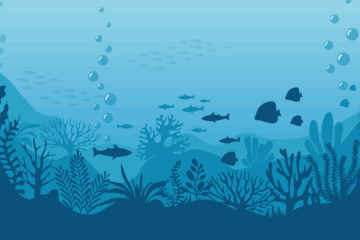 Conserving Our Oceans & Marine Species