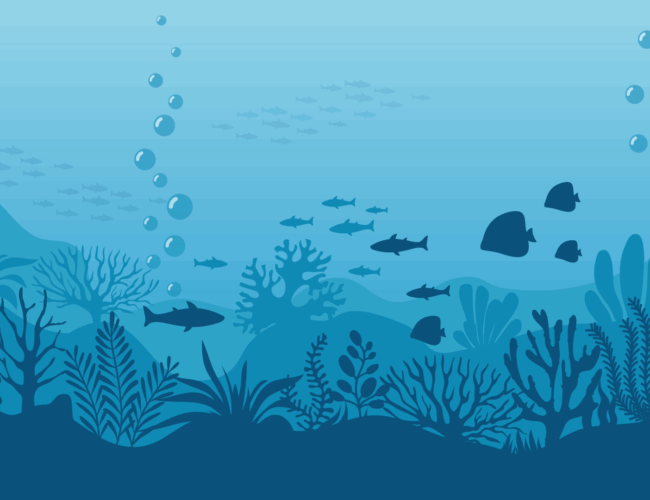 Conserving Our Oceans & Marine Species