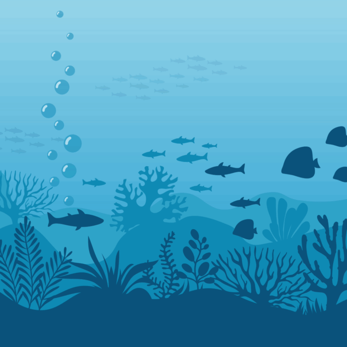 Conserving Our Oceans & Marine Species